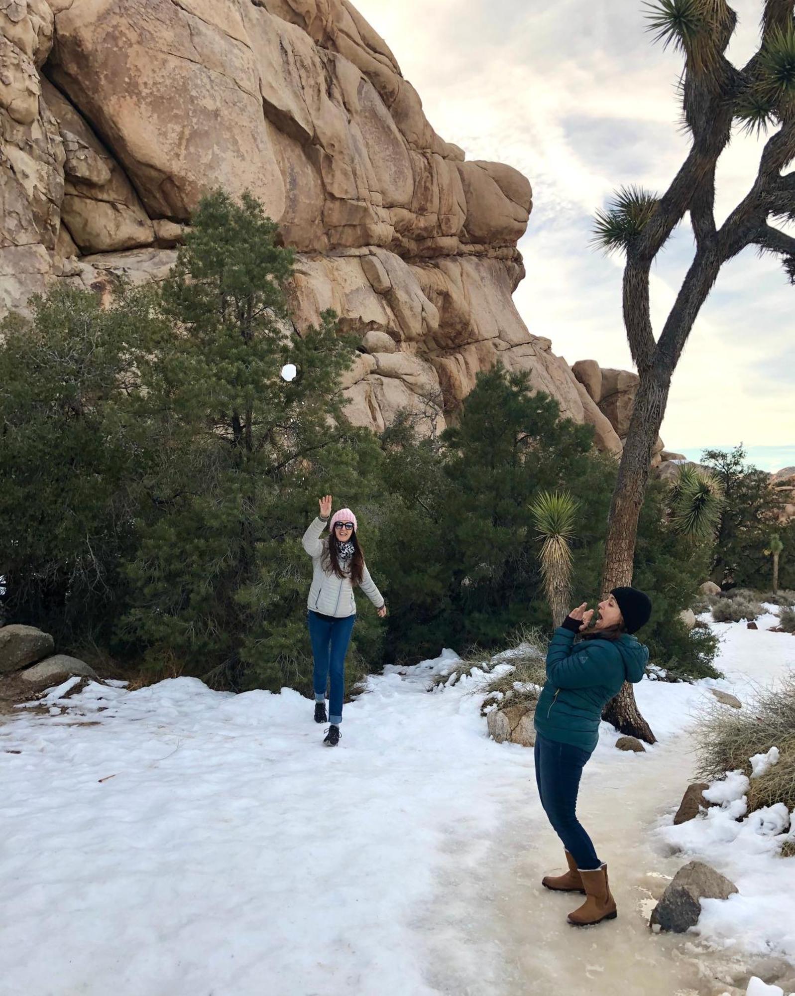 Cozy Desert Retreat With Amazing Views Only 4 Miles To Jtnp Joshua Tree Exteriér fotografie