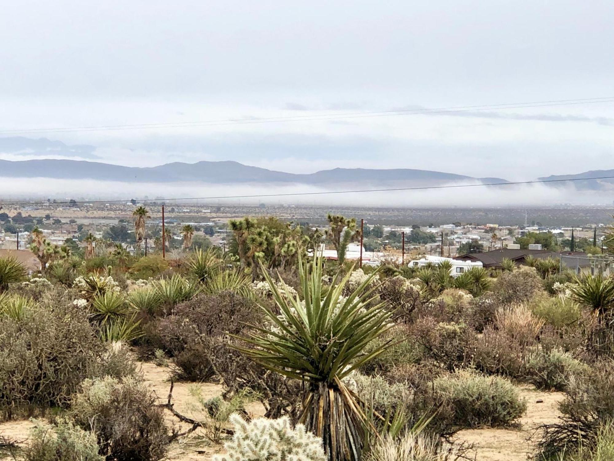 Cozy Desert Retreat With Amazing Views Only 4 Miles To Jtnp Joshua Tree Exteriér fotografie